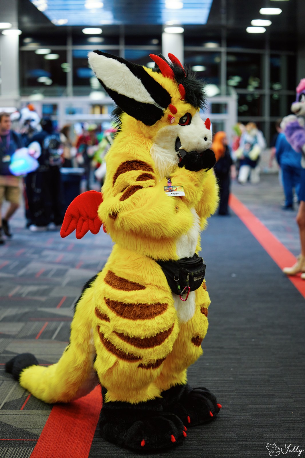 1576516-ff405fd5b891f8954353c3232f21330e